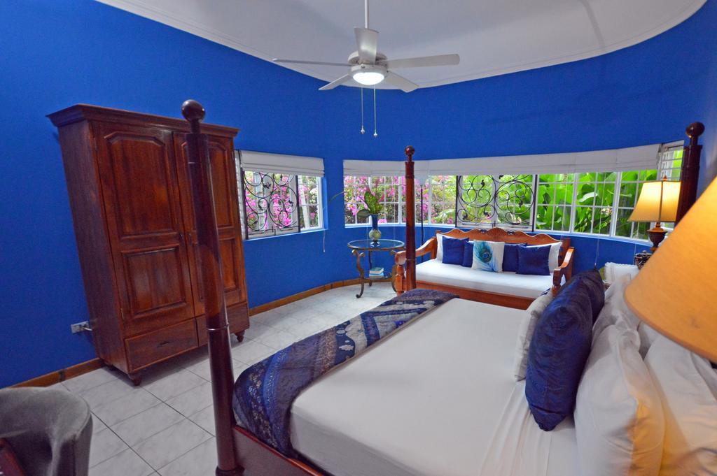 The Blue House Boutique Bed & Breakfast Ocho Rios Esterno foto